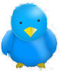 TwiDaily's profile picture. All about twitter