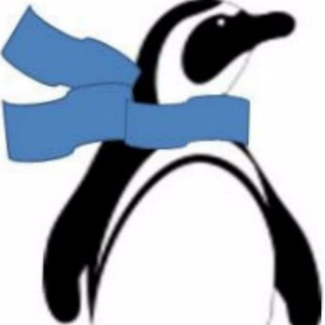 CozyPenguin Profile Picture