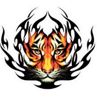 Lincoln Lady Tigers (@lincolngirlsbb) 's Twitter Profile