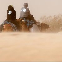tafodart65 (@tafodart) 's Twitter Profile