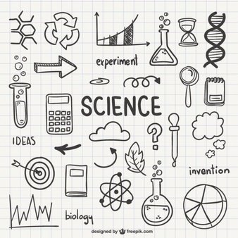 Teaches 8th Grade Science and 8th Grade Advanced Science at El Dorado Middle School.