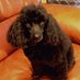 Marie Lewsey @temu trump (@marielewsey) Twitter profile photo Marie Lewsey @temu trump (@marielewsey) Twitter profile photo