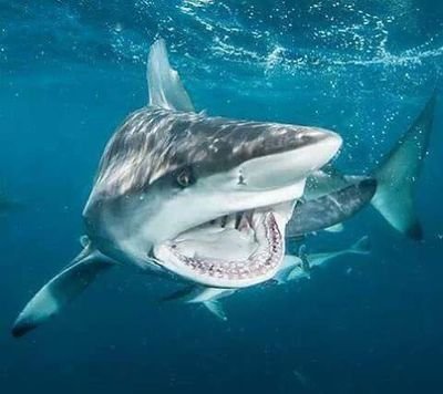 germany1428's profile picture. 