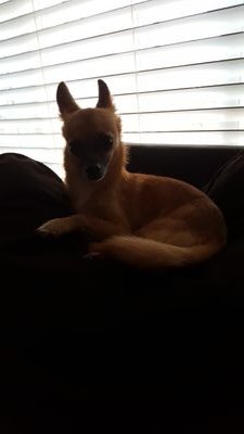 teahwalker323_'s profile picture. Celebrity Gamers Gaming News Games Gaming Gaming Gaming Gaming Gaming Gaming Gaming Gaming Gaming