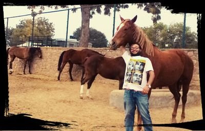 Freelance insurgency investigator at National Geographic .  A polo Player and an ex Mayoite...