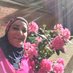 Nehal Abulail (@abulailnehal) Twitter profile photo Nehal Abulail (@abulailnehal) Twitter profile photo