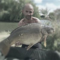 Greg Stuart (@gregstuart1977) 's Twitter Profile