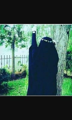 AbsolutelyAbdb2's profile picture. 