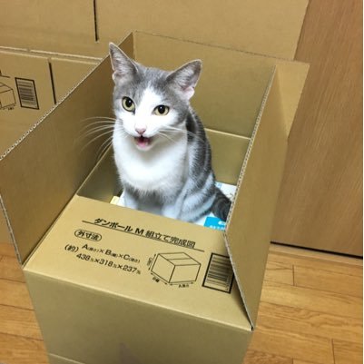 yassang81's profile picture. 