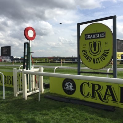 Racehorses, CAFC.