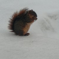 ともぞー (@tomzoon97) Twitter profile photo