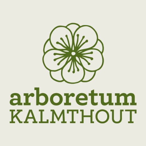 Arboretum Kalmthout is een bomentuin met een van de meest gevarieerde plantenverzamelingen. Sinds 1856 kun je er de fascinerende plantenwereld ontdekken.