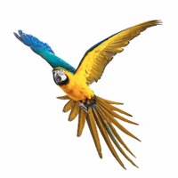 Shooting Parrots 🇪🇺 🇺🇦(@ShootingParrots) 's Twitter Profile Photo