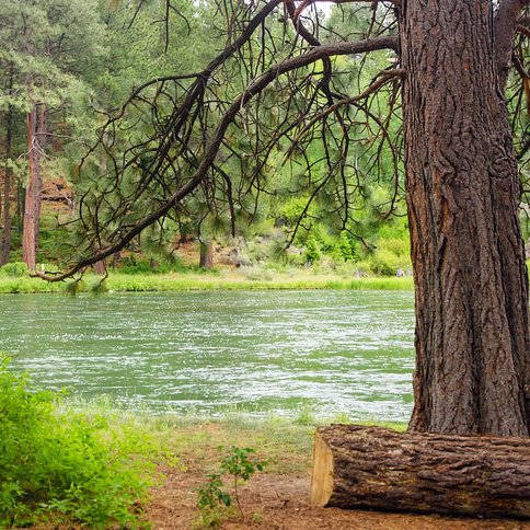 GetITPromotion's profile picture. Avid outdoorsman, husband and father of 3 beautiful children! 
Promoting the great outdoors is a passion!