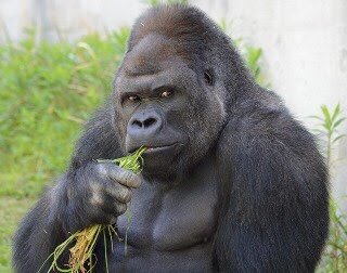 テトラポット夏目さんのプロフィール画像