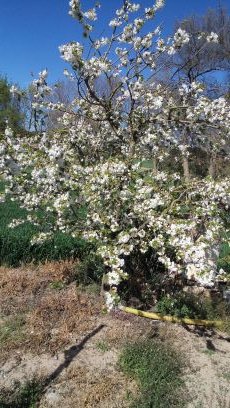 Teresafarre4's profile picture. 