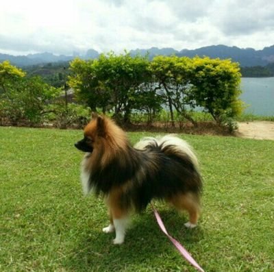 panneej's profile picture. Eat  Pray  Love