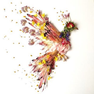 mahaalshaikh's profile picture. Firebird, Entrepreneur, EduTech... A woman's MIND should be the most beautiful part of her.
