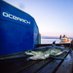 Great White Montauk (@sharkmontauk) Twitter profile photo Great White Montauk (@sharkmontauk) Twitter profile photo