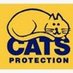 CatsProtectionERY (@cpbeverley) Twitter profile photo CatsProtectionERY (@cpbeverley) Twitter profile photo