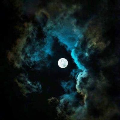 AymanGa19462137's profile picture. ‏