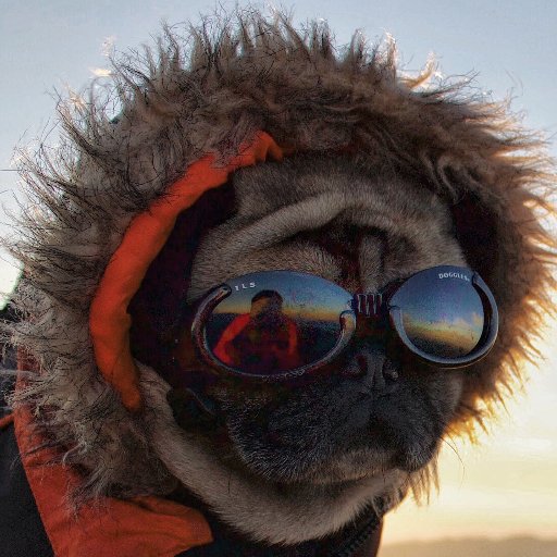 I is liking to eat treatses and has adventures. Facebook: https://t.co/ziqrCqdI4Z Instagram: https://t.co/28SPKZltBA