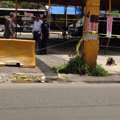 anahkrolina's profile picture. 