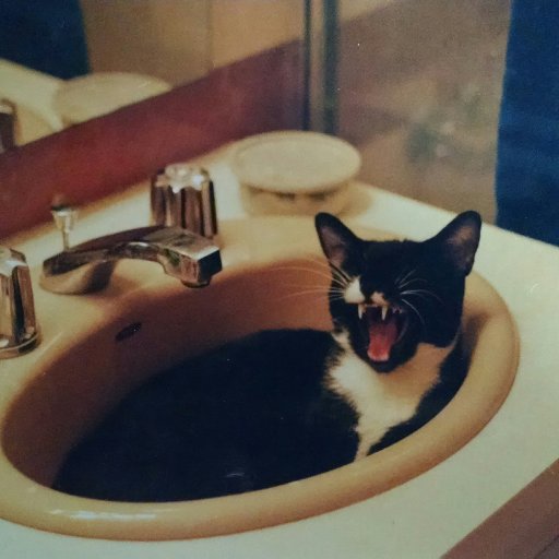 LovesPlays's profile picture. 