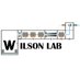 Wilson Lab @ YorkU (@dkwilsonlab) Twitter profile photo