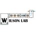 Wilson Lab @ YorkU (@dkwilsonlab) Twitter profile photo Wilson Lab @ YorkU (@dkwilsonlab) Twitter profile photo