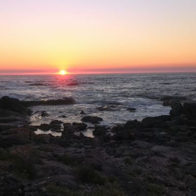 Joelp_03's profile picture. ❤️Nala❤️