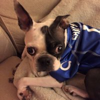 Ryan Ray Reed (@ryanrayreed) 's Twitter Profile Photo