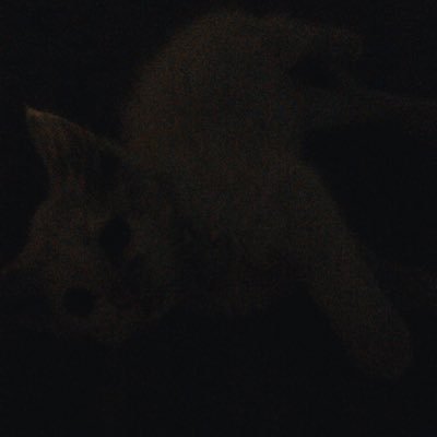 aliiii_celllik's profile picture. 