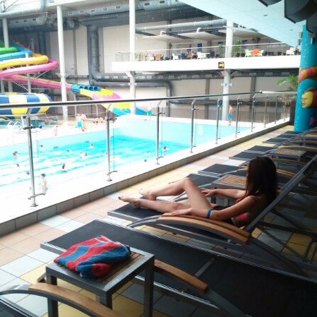 Yarmak_Tane's profile picture. Cat.