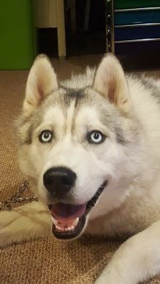 heathDCfan's profile picture. Auto worker, Dallas Cowboys fan and most importantly a friend of God!