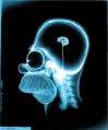 Neuropituco's profile picture. Neurólogo Pediátrico Hosp. Roberto del Río y CLC. Magister en Bioética
