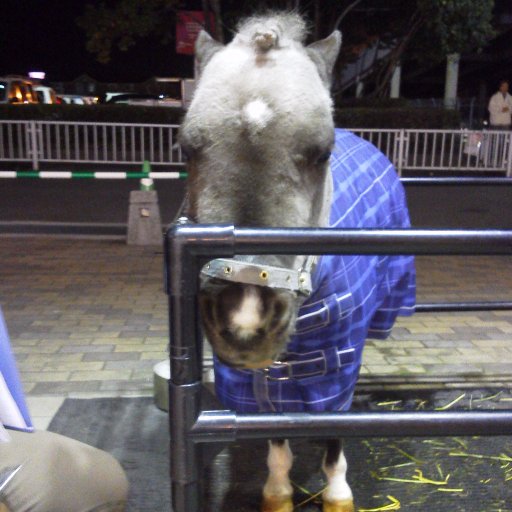 tuki3wara4's profile picture. 怪我童子というバンドでベースを弾いています。