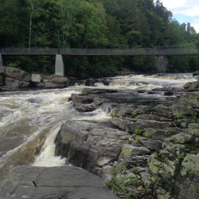 darion_98's profile picture. 