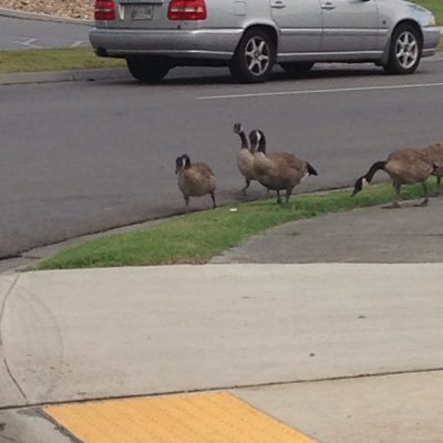 ishmaelvsgaming's profile picture. Gaming Gaming Games Gaming News