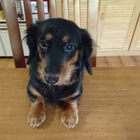 あてこ (@ak3tk5uk7) 's Twitter Profile