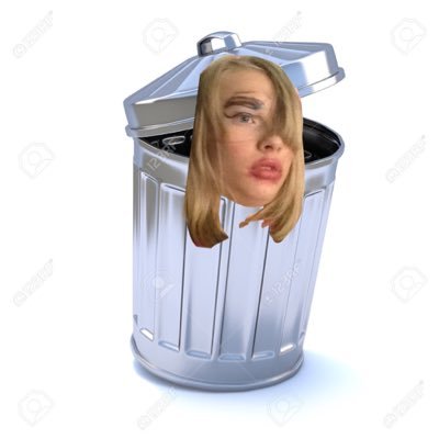 fantrashcan Profile Picture