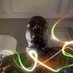 TreachTribe (@treachtribe) Twitter profile photo TreachTribe (@treachtribe) Twitter profile photo