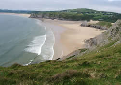 mumblesswansea's profile picture. 