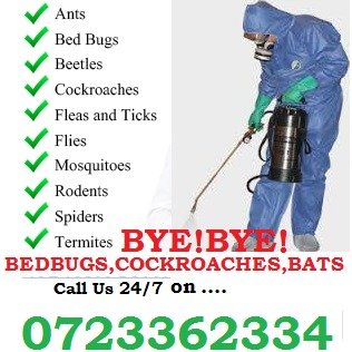 Jopestkil is a registered fumigation and pest control services company Nairobi Kenya. We cover Nairobi, Mombasa, Kisumu & other areas. https://t.co/uC7txY9yJ5