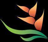Agriculture,Health Tips,Herbal Plants Use in Asian, Traditional Medicine,
Landscaping Design for homes,
General Tips,Herbal Plants,
Agriculture technology,
