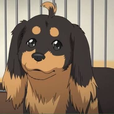 Get Nanami Chan Petrified Panda Twitter Desktop Wallpaper Free Wallpaper Nanami Chan Petrified Panda Twitter HD