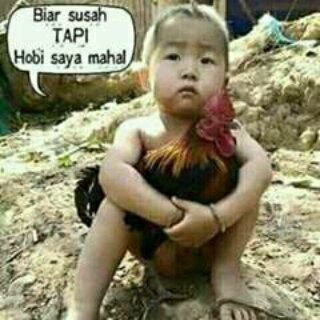 Menulis adalah sebuah karya yang paling mahal