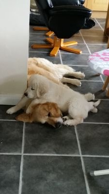 billyellie's profile picture. 