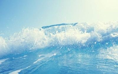 石川県能登地方にしか生息しないUMA。
何とかやってます