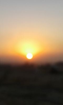 HM73947547's profile picture. 